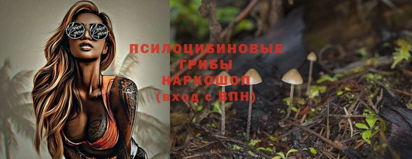 ГАЛЛЮЦИНОГЕННЫЕ ГРИБЫ Алексеевка